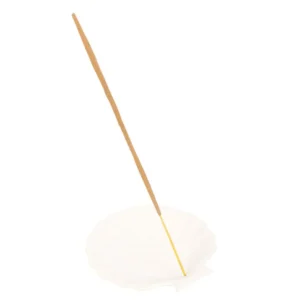 Off White Scallop Shell Incense Stick Holder